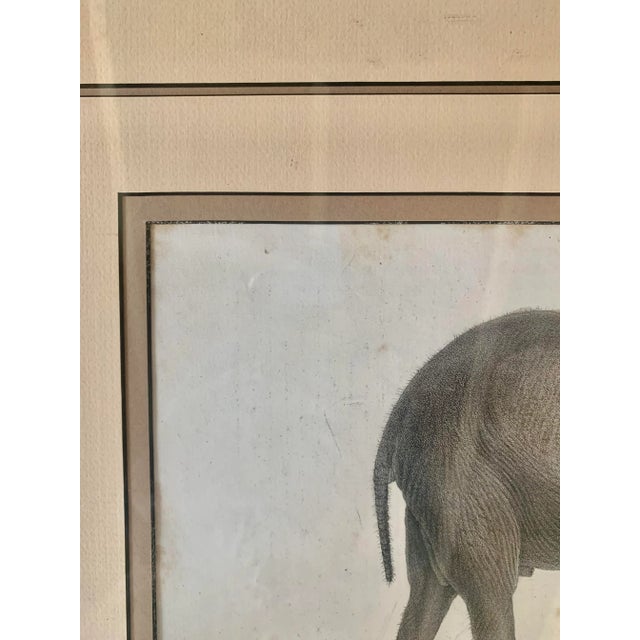 Elephant Framed Wildlife Original Lithograph Print -#1/10 - From a 4-Part Series For Sale In San Diego - Image 6 of 9