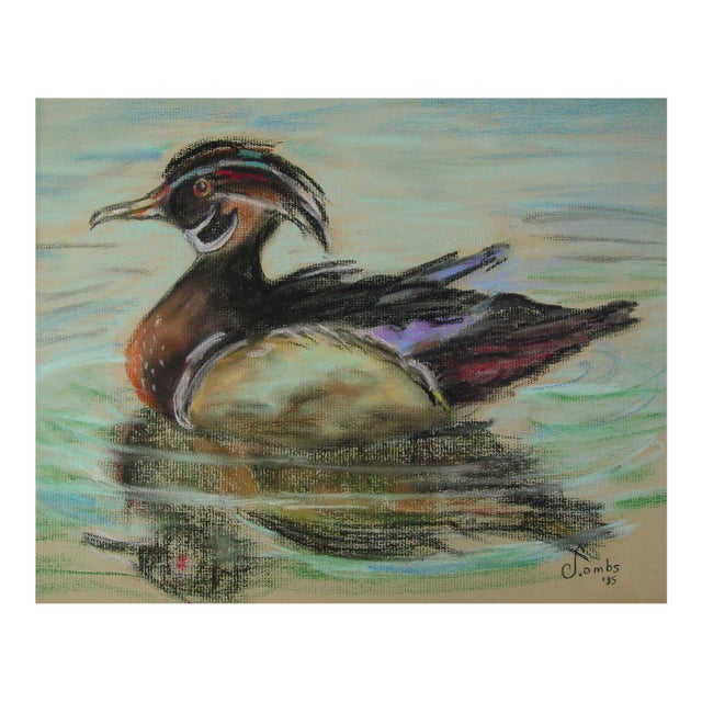 1985 Wood Duck Pastel Painting For Sale
