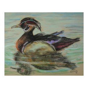 1985 Wood Duck Pastel Painting