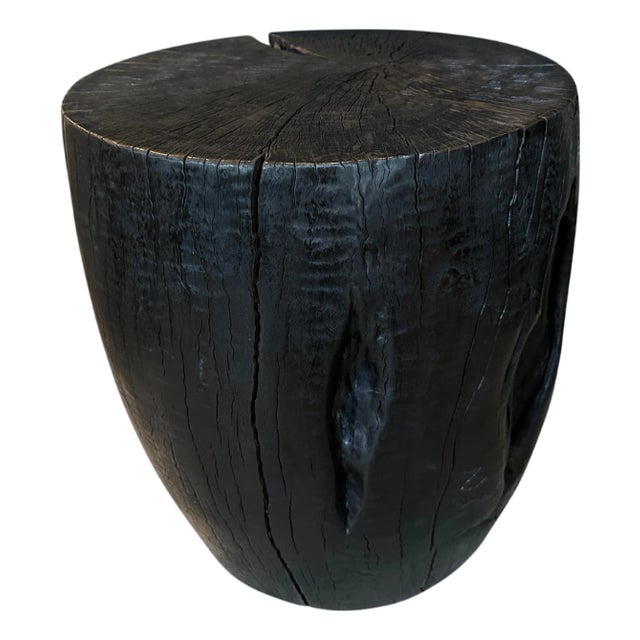 Andrianna Shamaris Polished Drum Shape Side Table For Sale