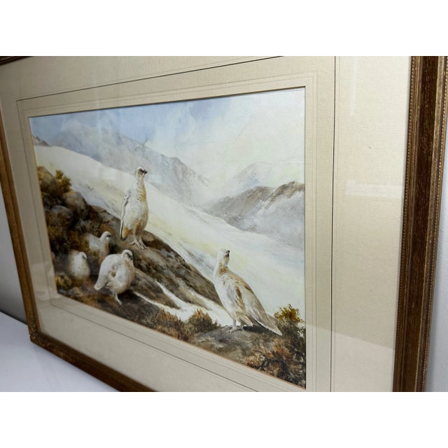 Late 20th Century Ornithology Watercolor Highland Moors Wildlife Covey of Ptarmigan Game Birds by Neil Cox For Sale - Image 5 of 12