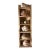 Multi-Tier Stained Wood Shelf With Natural Conch and Murex Shells For Sale