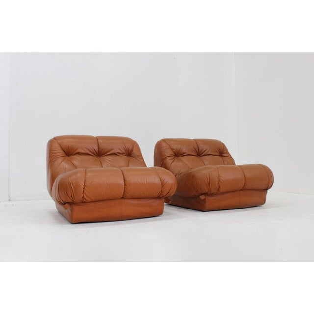 Brown Vintage Nuvolone Lounge Chairs in Cognac Leather from Mimo Padova, Italy, 1970s, Set of 2 For Sale - Image 8 of 11