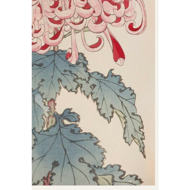 Not Yet Made - Made To Order Red & White Chrysanthemum by Hasegawa, Vintage Japanese Botanical Art Print, 16" X 24" For Sale - Image 5 of 9