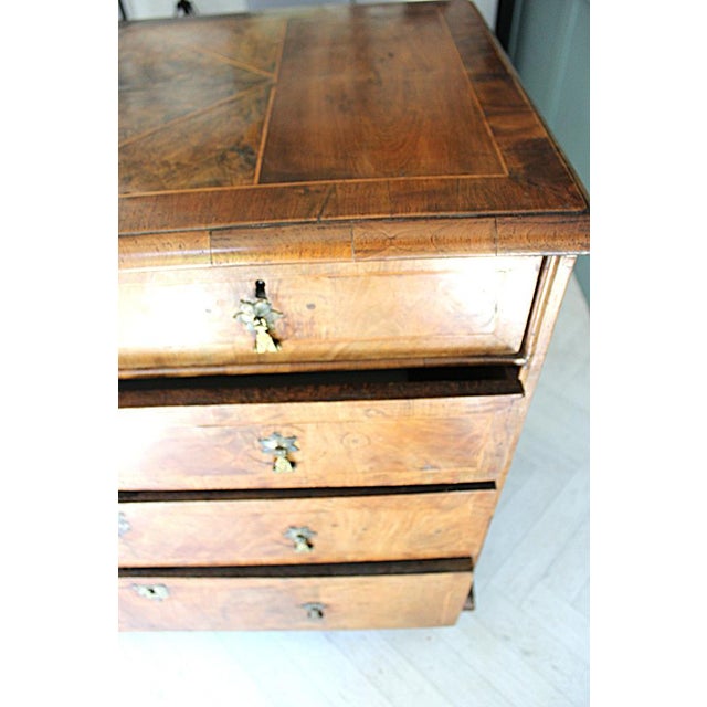 Queen Ann Burr Walnut Chest of Drawers, 1710 For Sale - Image 11 of 18