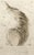ARTIST: Salvador Dali TITLE: Shakespeare II Timon of Athens MEDIUM: Etching SIGNED: Hand Signed PUBLISHER: Transworld...