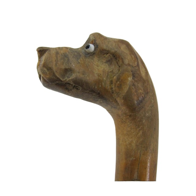 Early 20th Century Antique Dog Head With Beady Eyes Hand Carved Folk Art Walking Stick Cane For Sale - Image 5 of 9