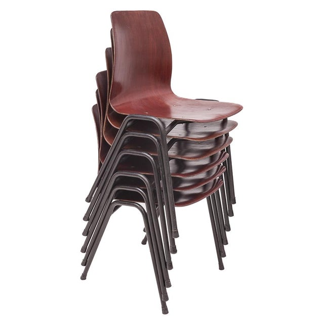 Vintage Chairs from Pagholz Flötotto, 1950s, Set of 6 For Sale - Image 11 of 13