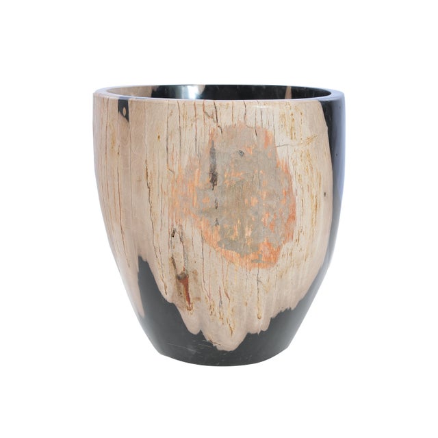 Stone Petrified Wood Plant Pot by Xyleia Petrified Wood For Sale - Image 7 of 7