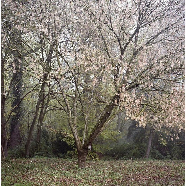 Not Yet Made - Made To Order Paul Cooklin, Photograph, Edition of 50 For Sale - Image 5 of 5