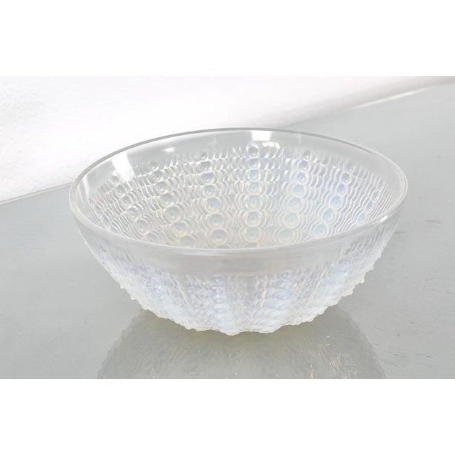 Opalescent Crystal Mod. Oursins No. 2 Nemour Series Bowl from René Lalique, France, 1935 For Sale - Image 3 of 11