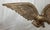 Very Heavy Vintage Solid Bronze Wall Mount American Bald Eagle Bird Brass Statue For Sale - Image 4 of 7