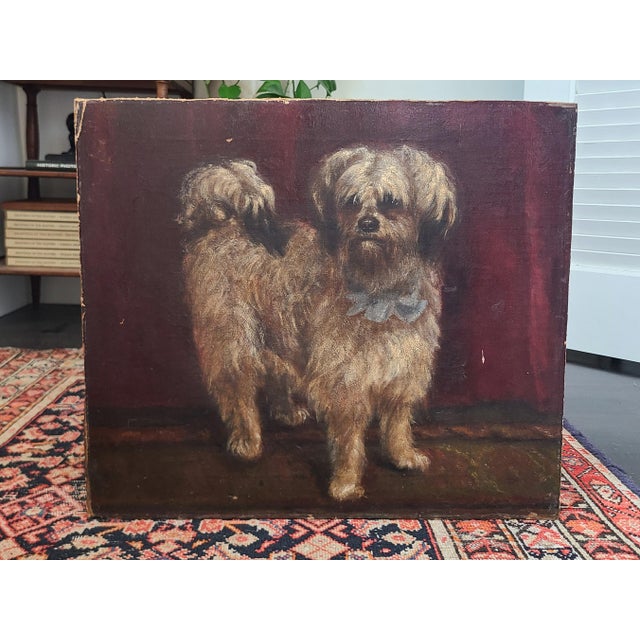 Moody Antique Oil Painting Portrait of a Norfolk Terrier Dog For Sale - Image 11 of 18