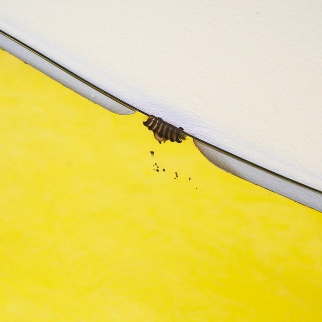 Brown Mirror, Italy, 1960s For Sale - Image 3 of 6