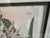 Spider Lily - 1817 Hand-Colored Botanical Etching For Sale In Tulsa - Image 6 of 7