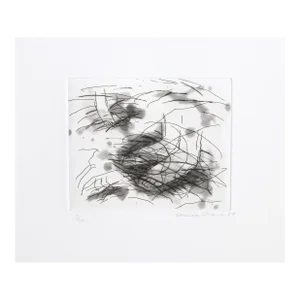 1980s "Portfolio VI" Etching by Louisa Chase