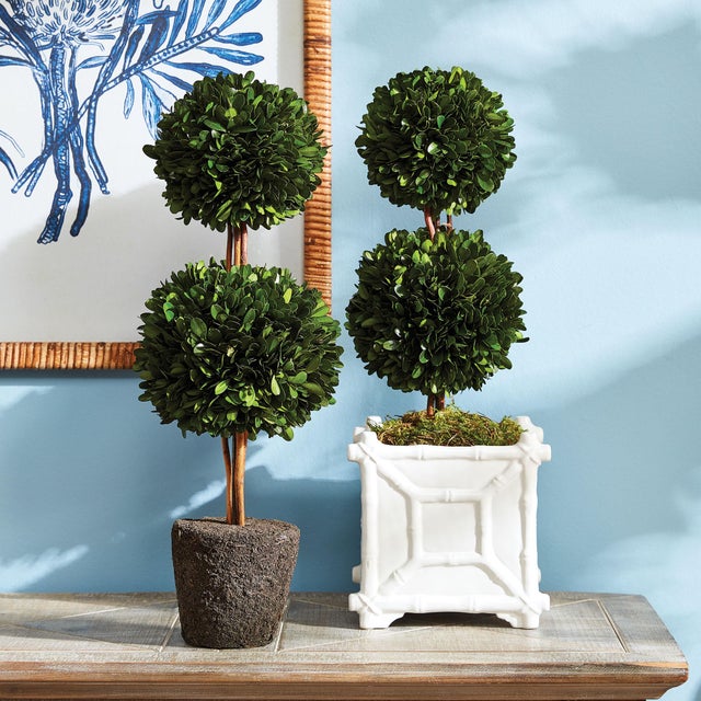 Kenneth Ludwig Chicago Boxwood Double Sphere Topiary Drop-In 20" For Sale - Image 4 of 4