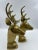 Mid 20th Century Hollywood Regency Style Brass Stag Bust Bookends - a Pair For Sale In Los Angeles - Image 6 of 13