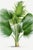 Vintage botanical artwork reproduced and refined for modern printing. Featuring sculptural fan-shaped palm fronds, layered...