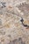 2020s Rugs Evie Hand Knotted Wool Gray & Multi - 10'x14' For Sale - Image 5 of 9