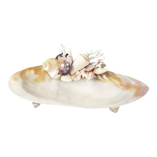 Handcrafted Oyster Shell Tray With Vintage Seashell Specimens & Biwa Pearls — Coastal Sculptural Object For Sale
