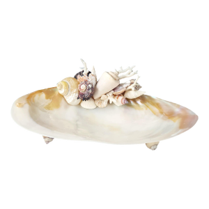Handcrafted Oyster Shell Tray With Vintage Seashell Specimens & Biwa Pearls — Coastal Sculptural Object