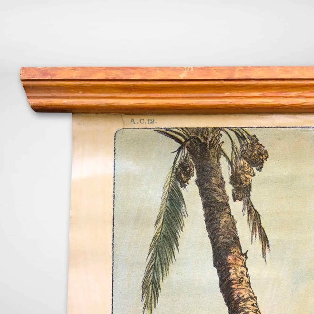 Textile Vintage School Wall Chart, 1950s For Sale - Image 7 of 8