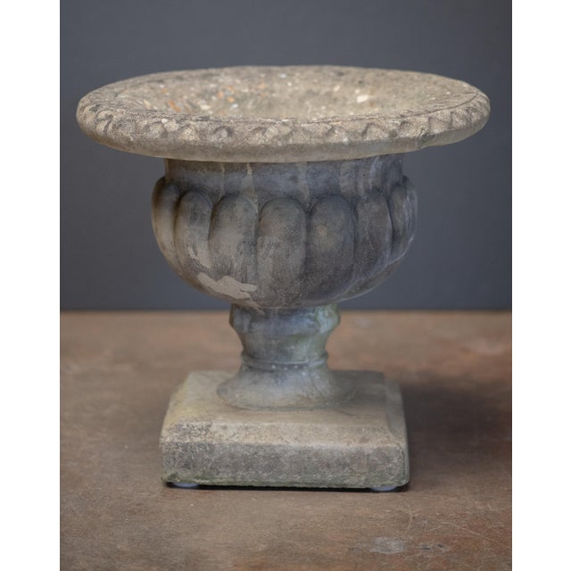 English Garden Stone Urn or Planter Pot on Square Plinth Base For Sale - Image 9 of 10