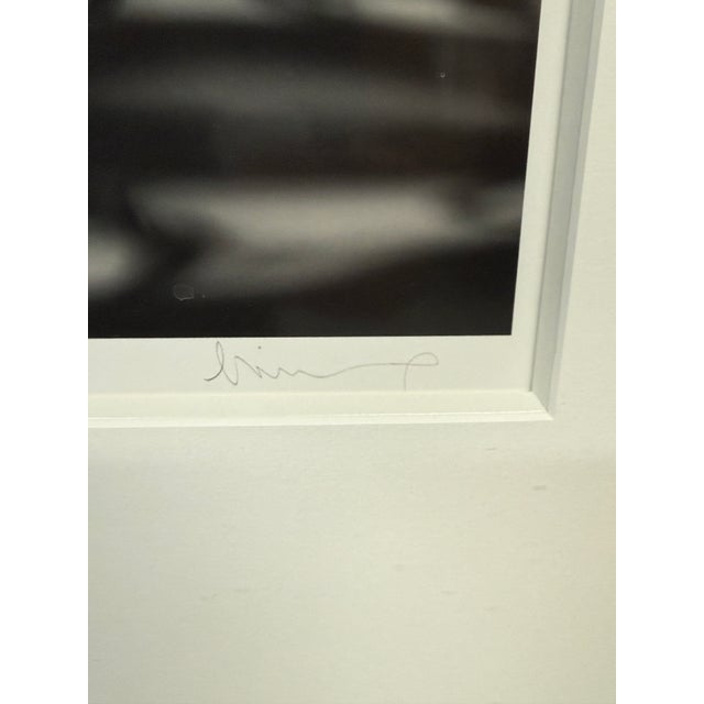 Michal Venera Twigs and Water Black & White Photograph, Framed For Sale - Image 9 of 12