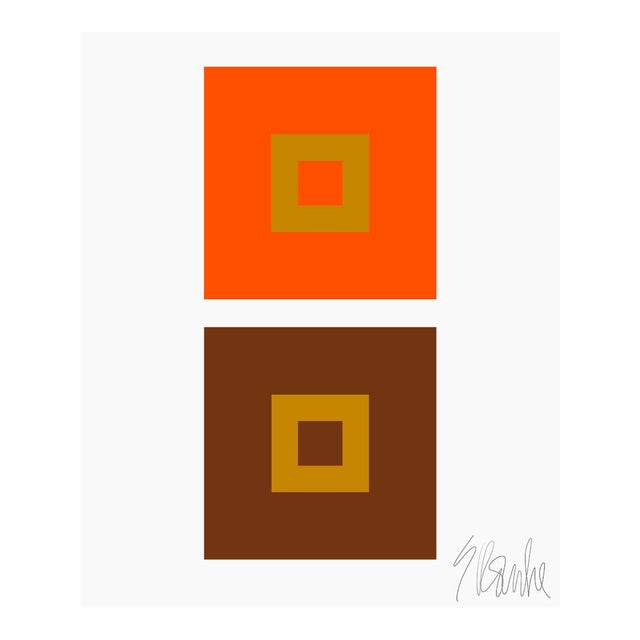 Dynamic Color Change No. 3 Fine Art Print 16" X 20" by Liz Roache For Sale