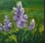 Traditional Charming Oil on Canvas Painting -Serene Springime Mountain Scene For Sale - Image 3 of 7