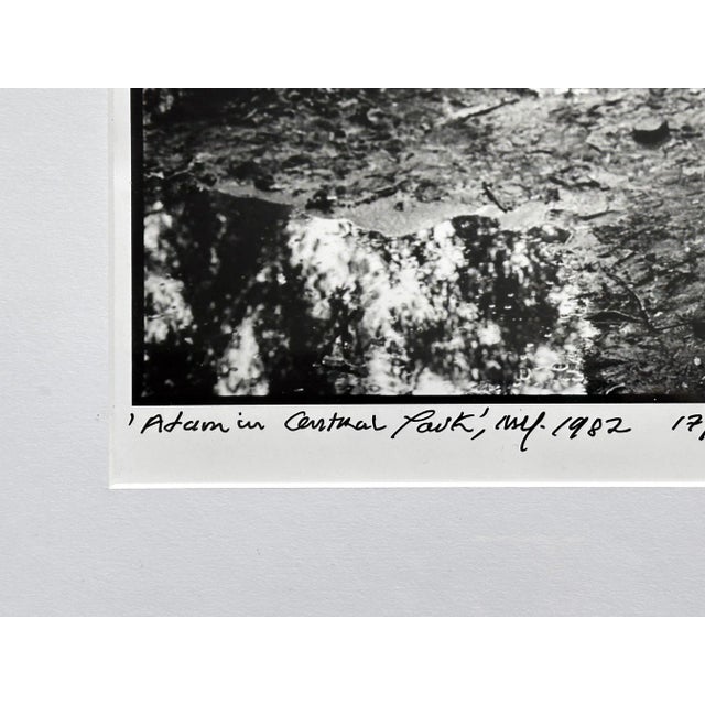 Framed Editioned Vintage Photograph Adam in Central Park New York Arthur Tress For Sale - Image 10 of 12