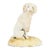 Antique Staffordshire Porcelain Poodle For Sale