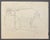 1960s 1960s Neil Meitzler Drawing of a Goat For Sale - Image 5 of 5