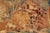 19th Century Antique French Verdure Tapestry With a Countryside Scene For Sale - Image 15 of 16