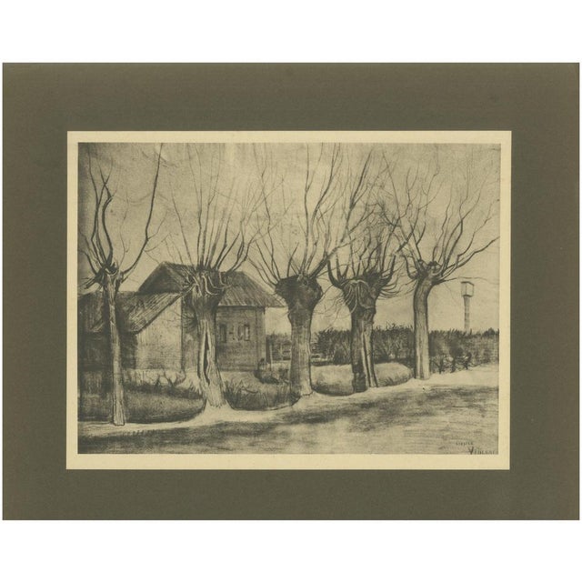 Vincent Van Gogh, Pollard Willows, 1928, Portfolio Print For Sale - Image 6 of 6