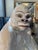 Seated Gorilla Sculpture in White Ceramic by Ronzan, 1950s For Sale - Image 6 of 18