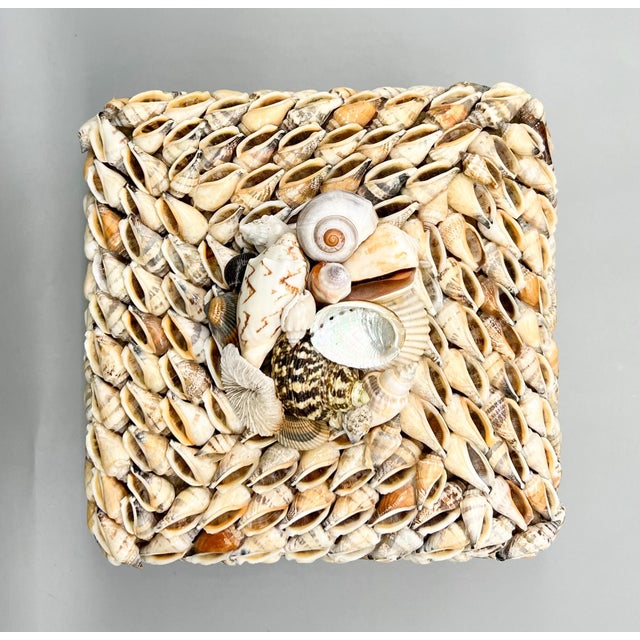 Vintage Coastal Seashell Covered Shell Encrusted Box – Coastal / Tropical For Sale - Image 13 of 18