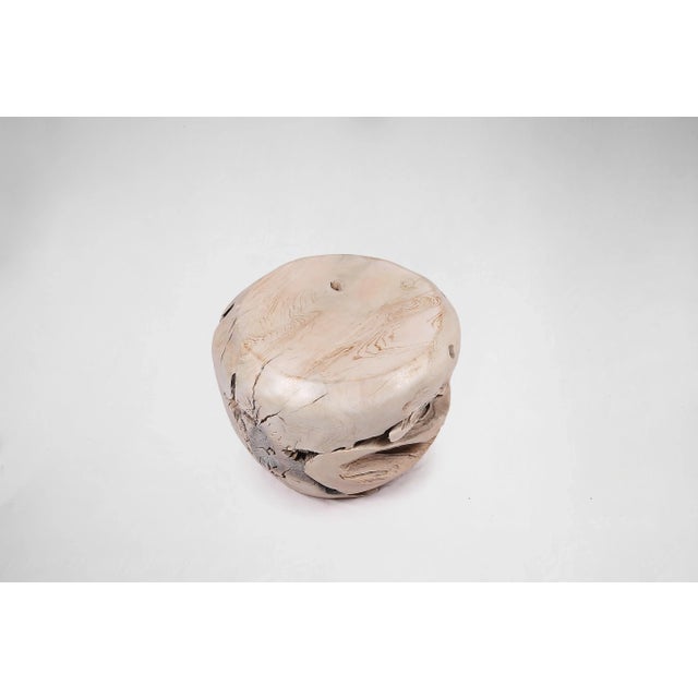 2020s Bleached White Teak Root Accent or Side Table or Stool 30 For Sale - Image 5 of 6