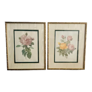 Late 20th Century Vintage Framed Pierre Joseph Redoute Botanical Rose Lithograph Prints, the Bombay Company Collection, a Pair