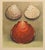French 1935 Rare Set of 3 French Lithographs- Sea Shells For Sale - Image 3 of 7