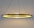 This single hoop pendant chandelier light has a brass metal perforated piece lit by a led light. Adjustable height....