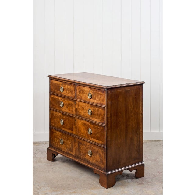 Wood Exquisite 19th Century Burl Walnut Two Over Three Chest With Rings Pulls For Sale - Image 7 of 10