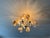 Mid century modern pearled white magnolia chandelier with capiz shell. 9 light bulbs, hardwired. 3’ long chain, cord 5 ‘...