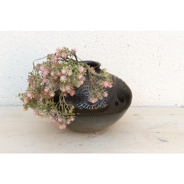 Engraved Black Clay Mata Ortiz Olla For Sale - Image 11 of 11