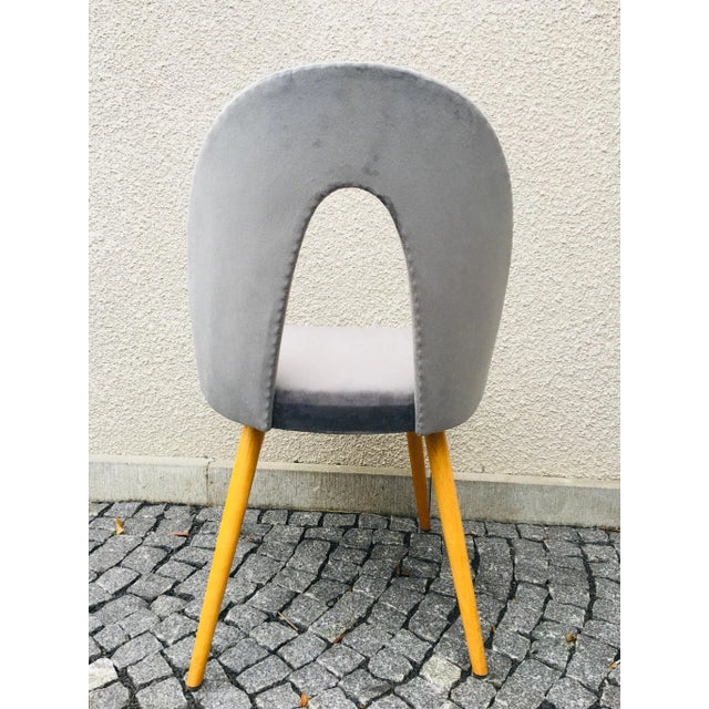 Mid-Century Dining Chairs by Antonín Šuman for Tatra, Set of 4 For Sale - Image 6 of 18