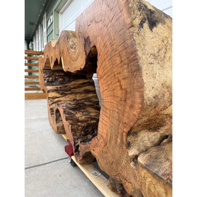 1990s Statement Live-Edge Mango Wood "Window" Slab For Sale - Image 14 of 18