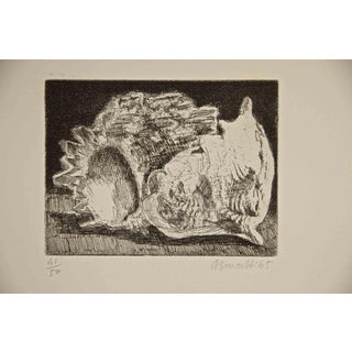 Armando Buratti, Fossils, Etching, 1965 For Sale