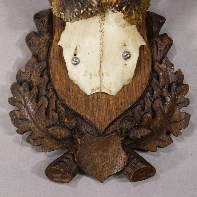 Rustic European Black Forest Red Deer Trophy on Carved Plaque, Germany 1930s For Sale - Image 3 of 4