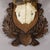 Rustic European Black Forest Red Deer Trophy on Carved Plaque, Germany 1930s For Sale - Image 3 of 4